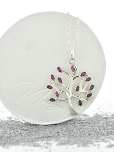 muleysa_collar_anuri_1