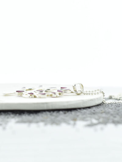 muleysa_collar_anuri_2