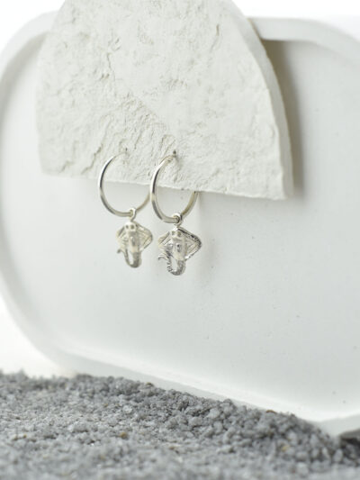 muleysa-pendientes-hastin-2