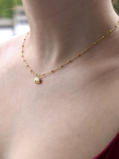 muleysa-collar-kalon2